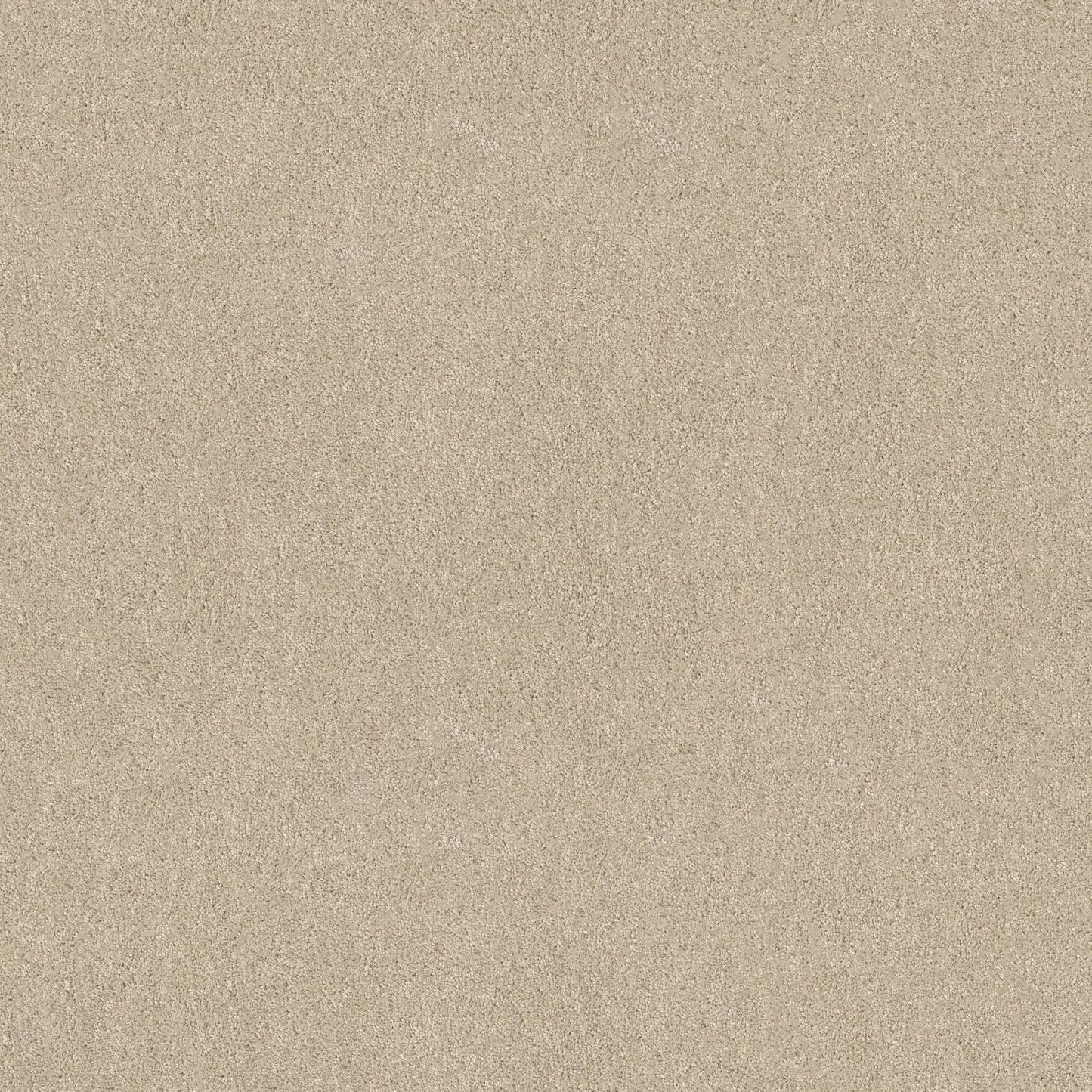 TEXTURE BCF