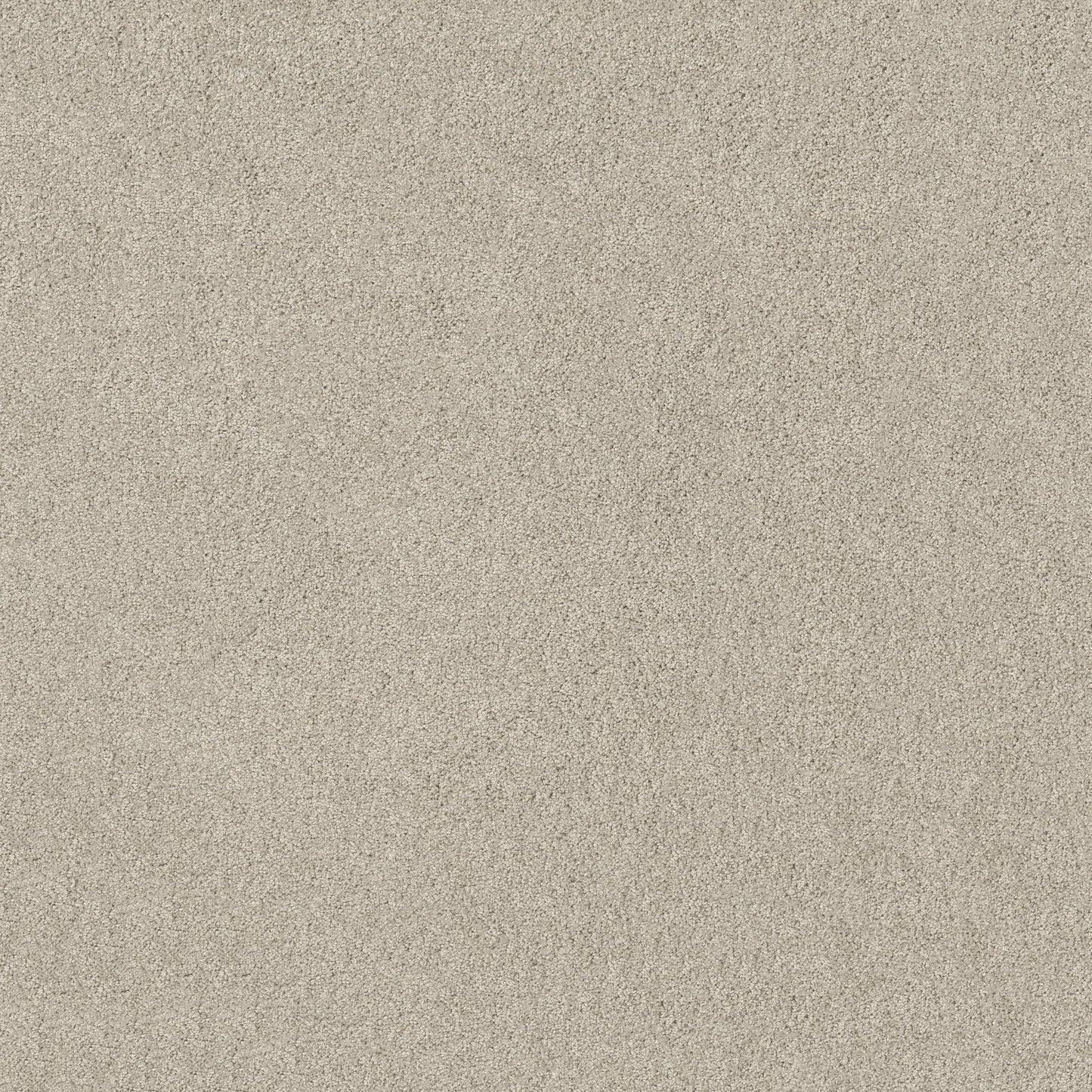 TEXTURE BCF