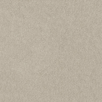 TEXTURE BCF