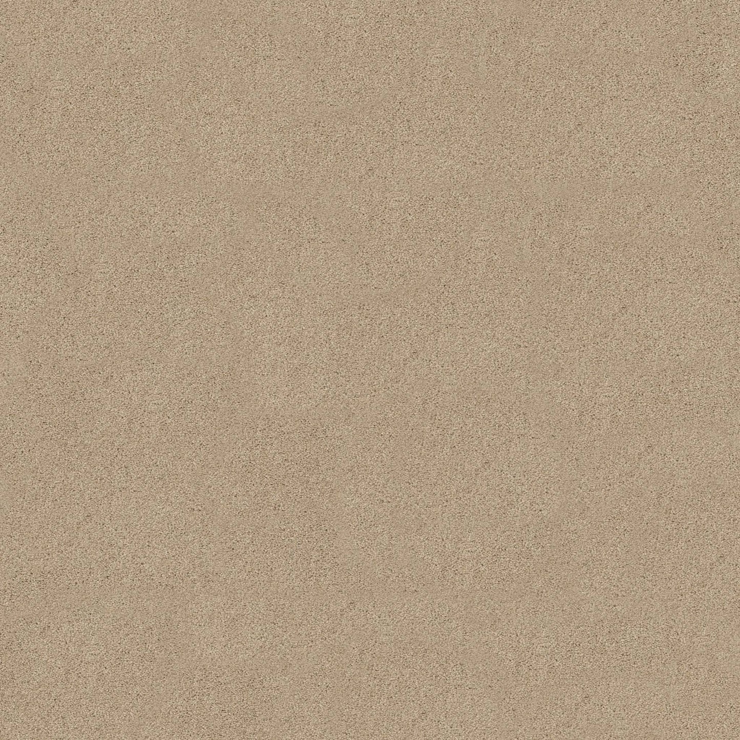 TEXTURE BCF