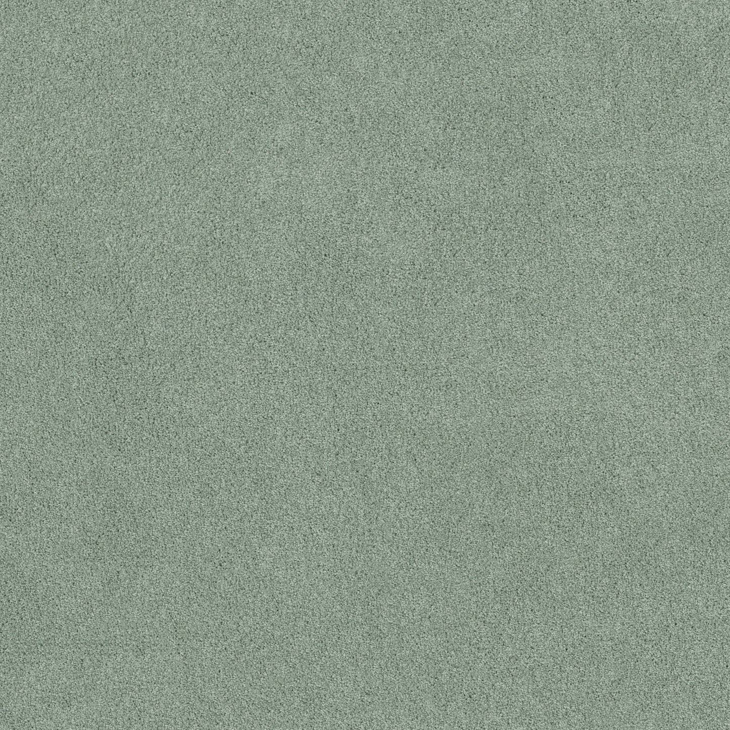 TEXTURE BCF