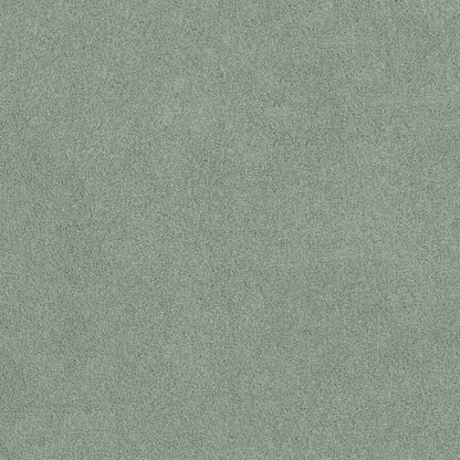 TEXTURE BCF