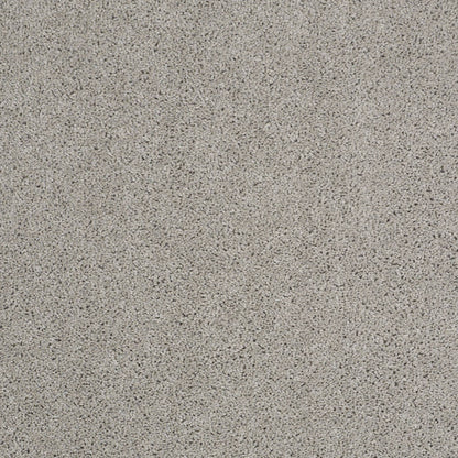 TEXTURE BCF