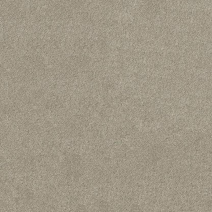 TEXTURE BCF