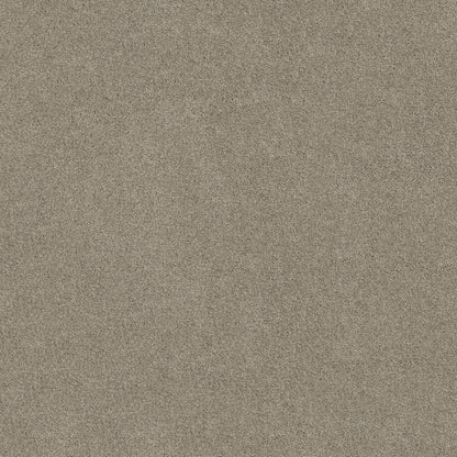 TEXTURE BCF