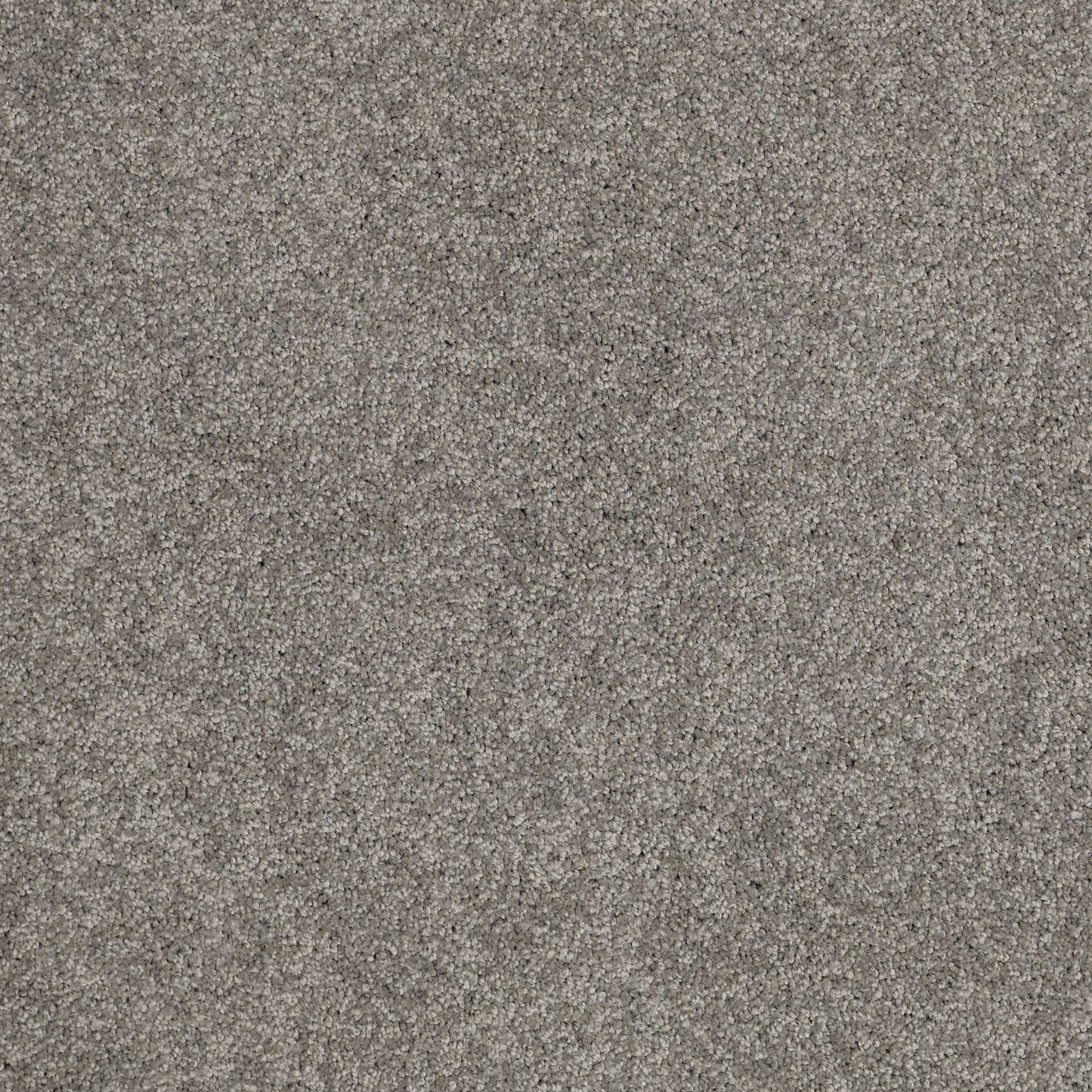 TEXTURE BCF