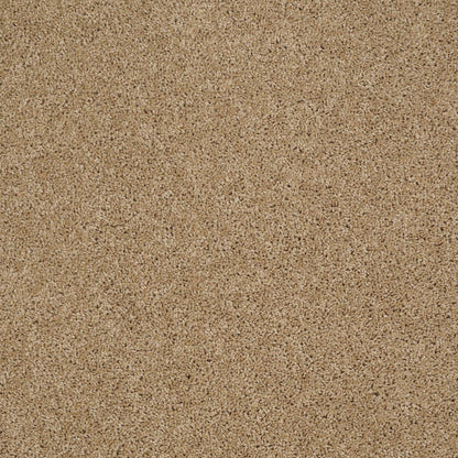 TEXTURE BCF