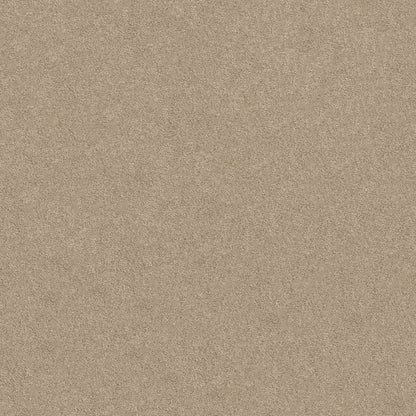 TEXTURE BCF