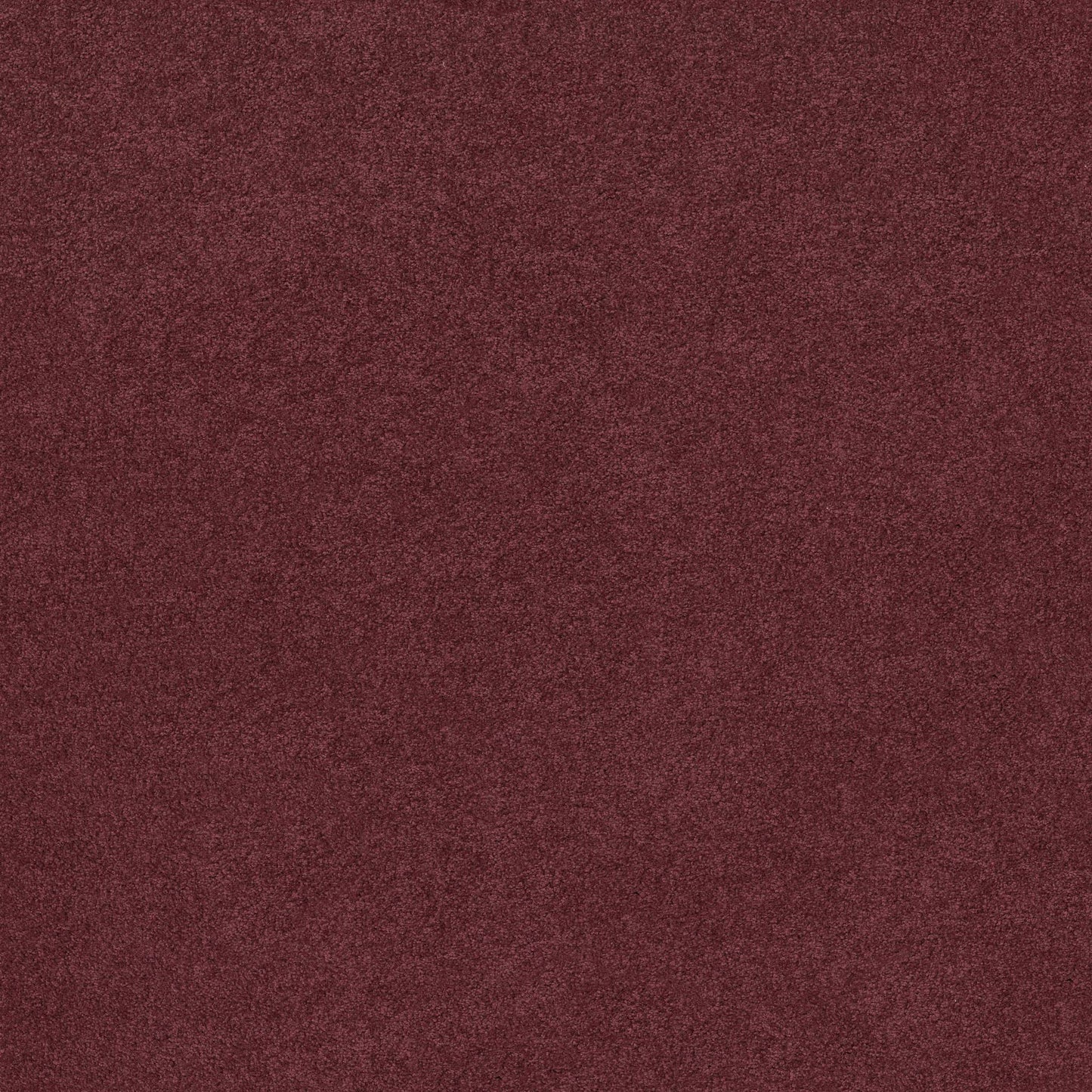 TEXTURE BCF