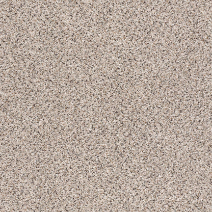 BERBER CUT PILE