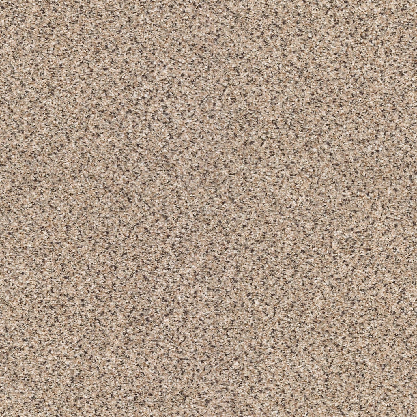 BERBER CUT PILE