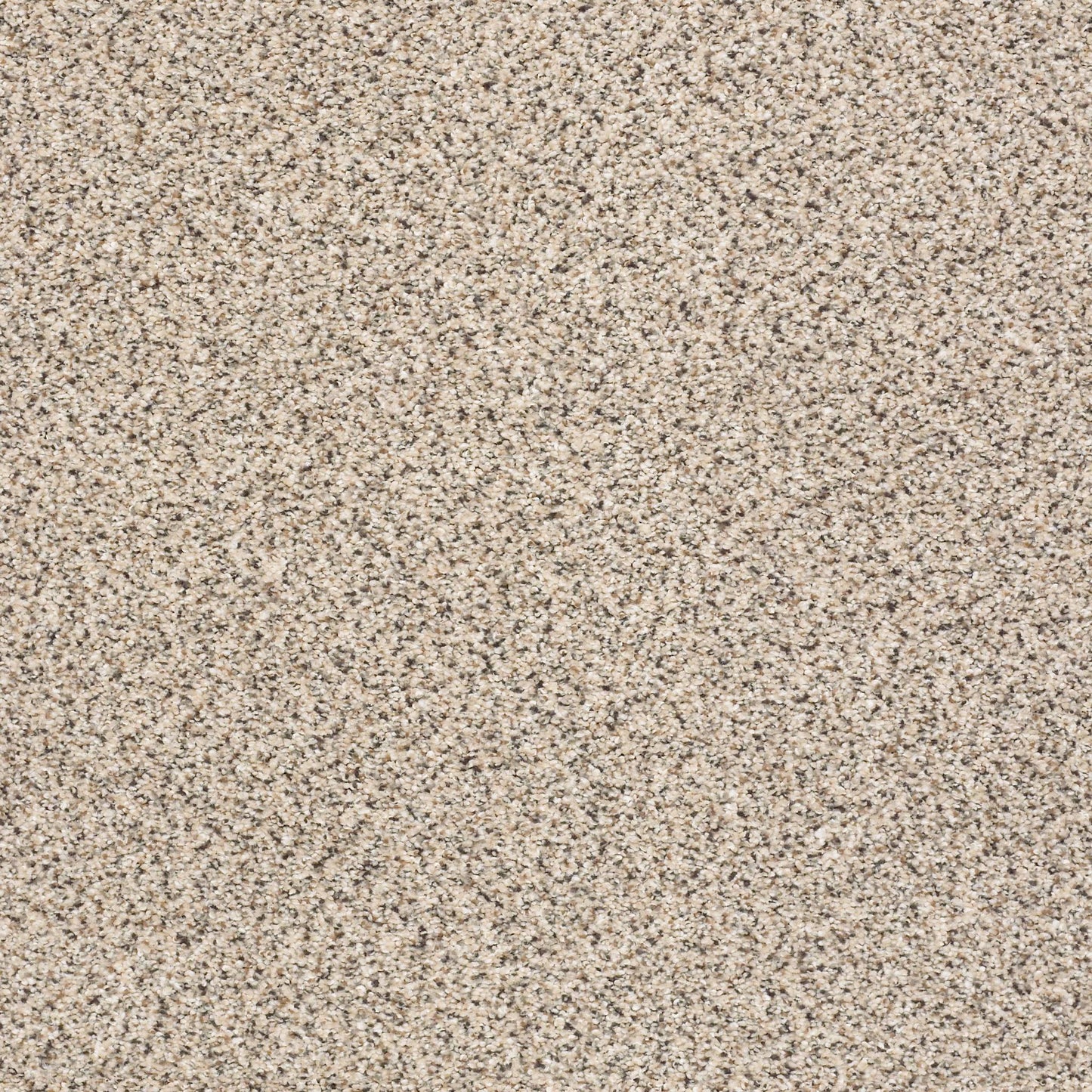 BERBER CUT PILE