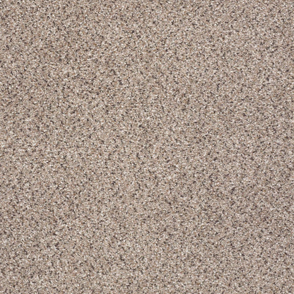 BERBER CUT PILE
