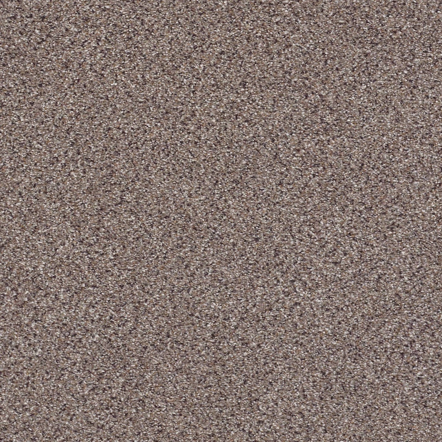 BERBER CUT PILE