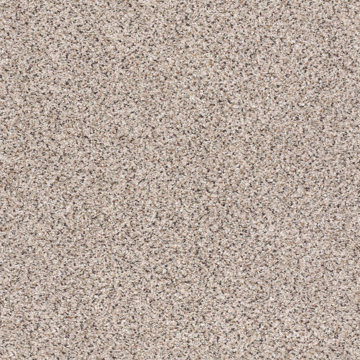 BERBER CUT PILE