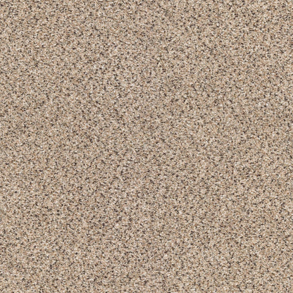 BERBER CUT PILE