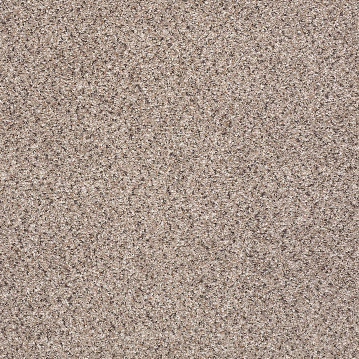 BERBER CUT PILE