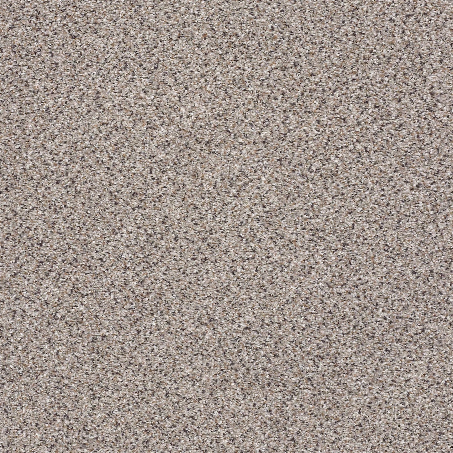BERBER CUT PILE