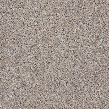 BERBER CUT PILE