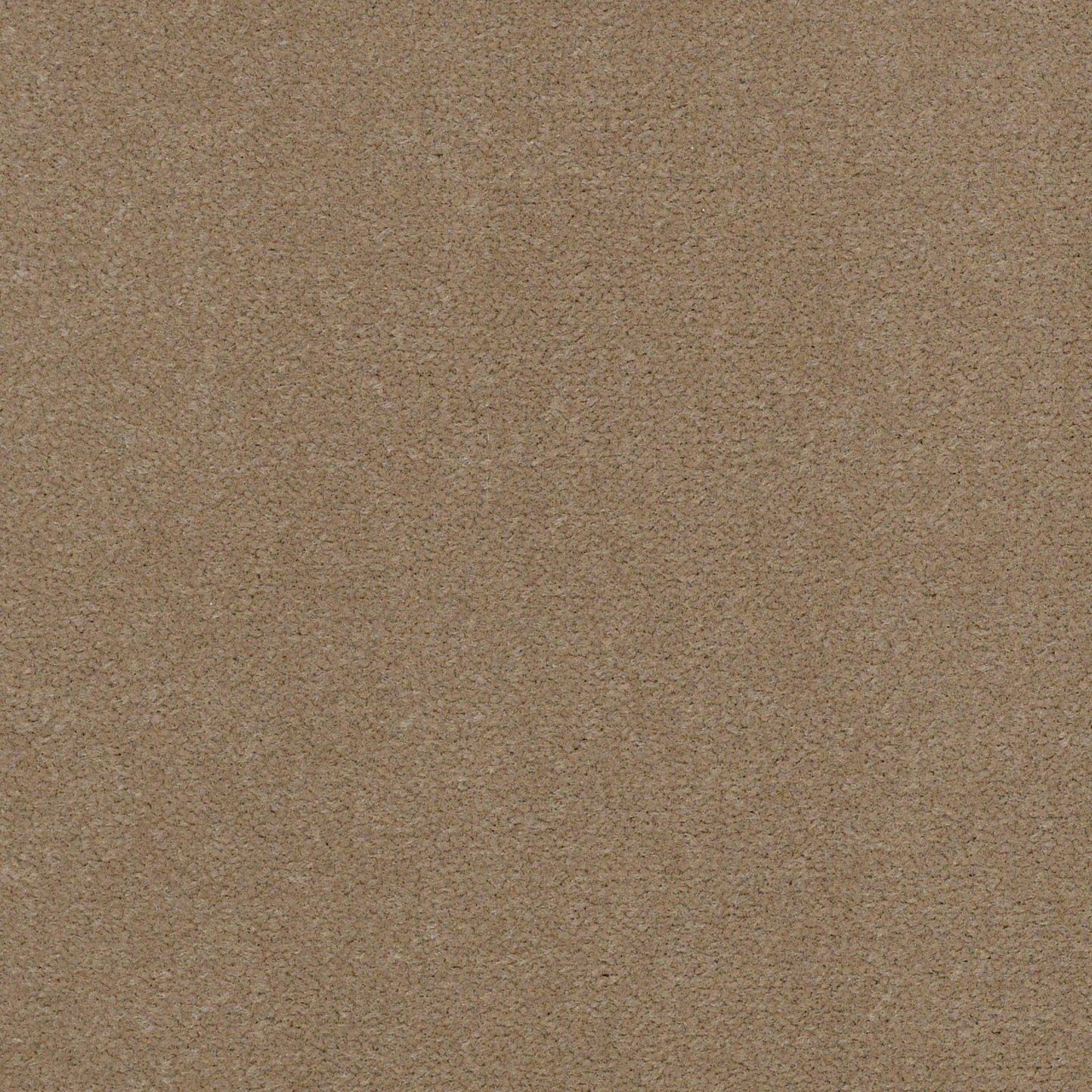 CUT PILE SOLID