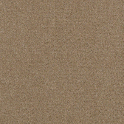 CUT PILE SOLID