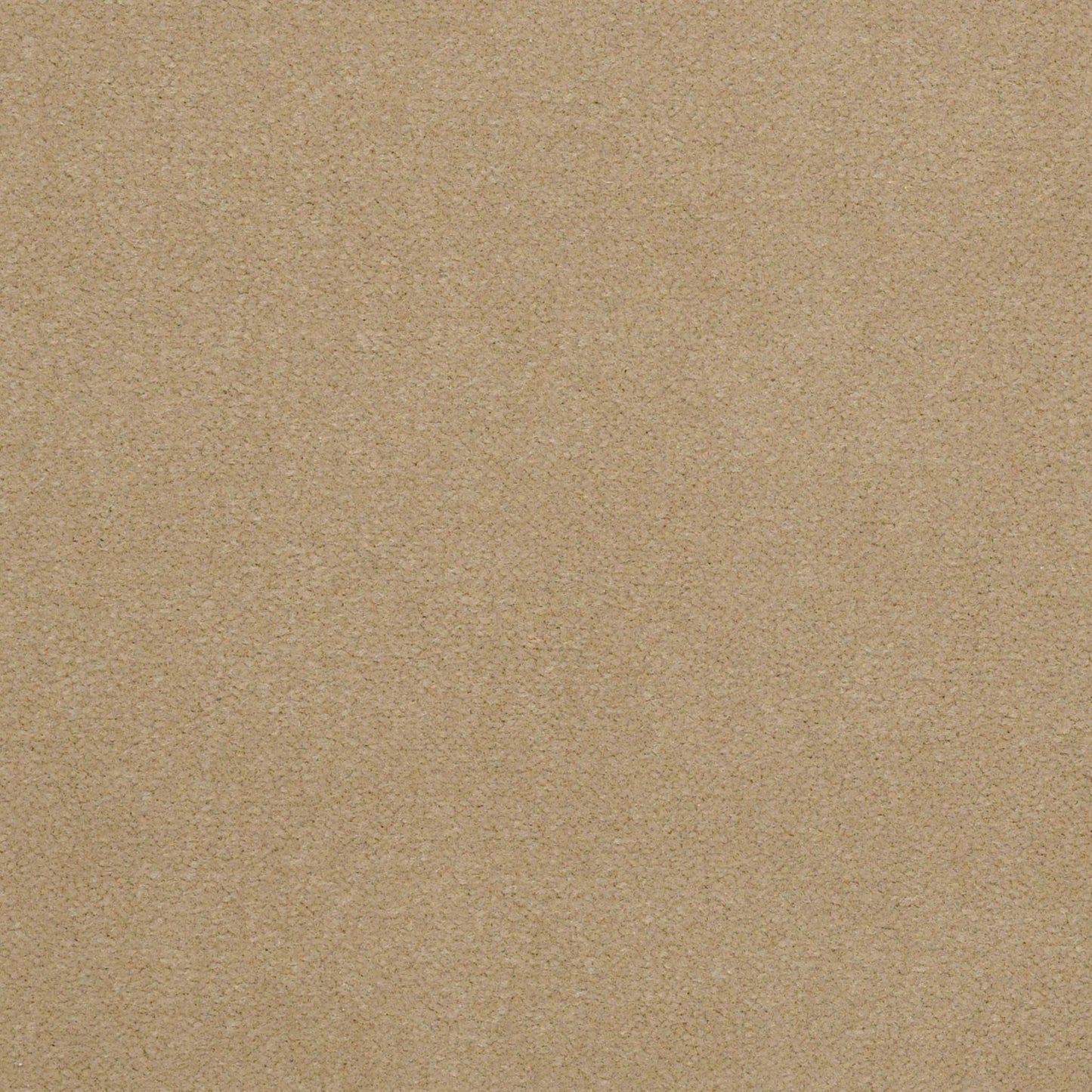 CUT PILE SOLID