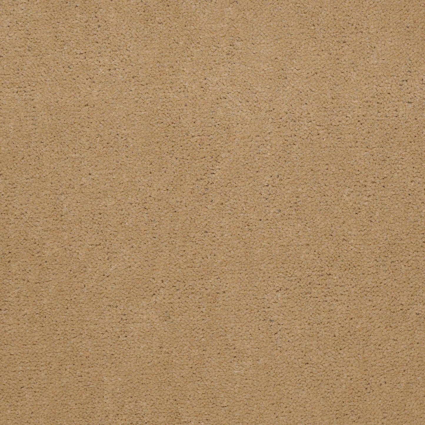 CUT PILE SOLID