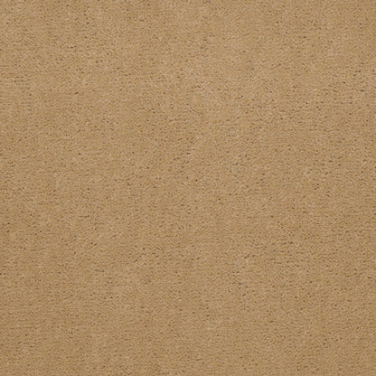 CUT PILE SOLID