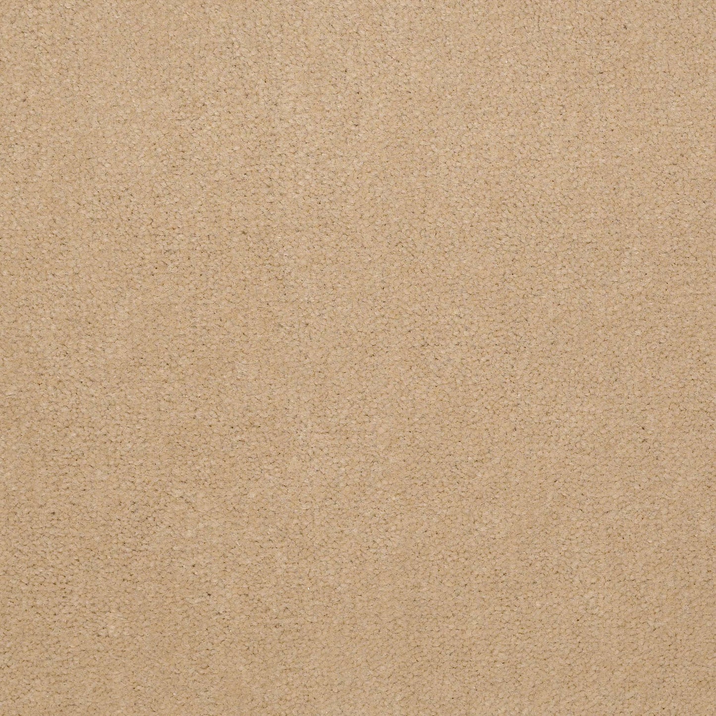 CUT PILE SOLID