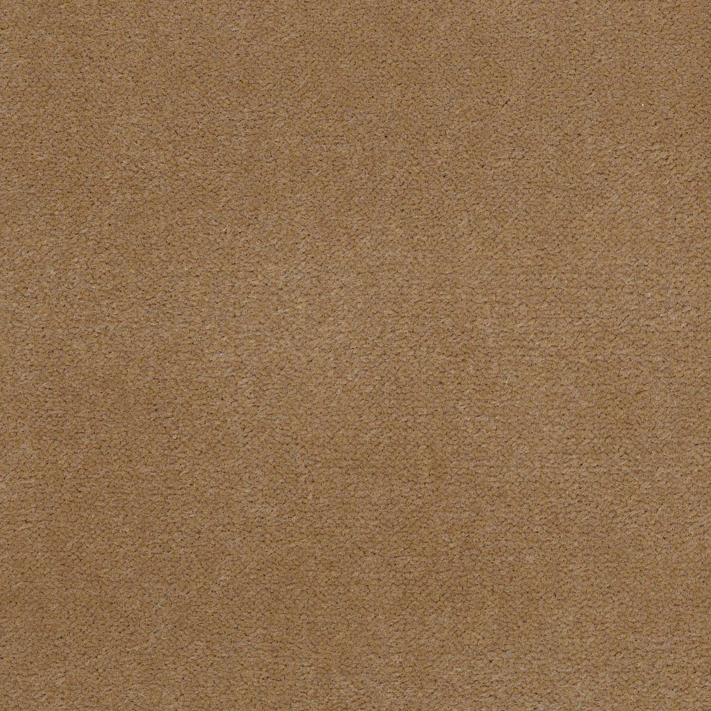 CUT PILE SOLID