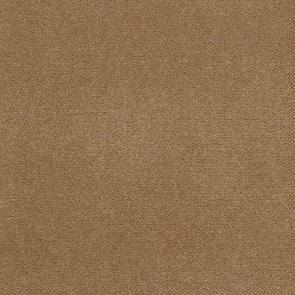 CUT PILE SOLID