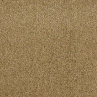 CUT PILE SOLID