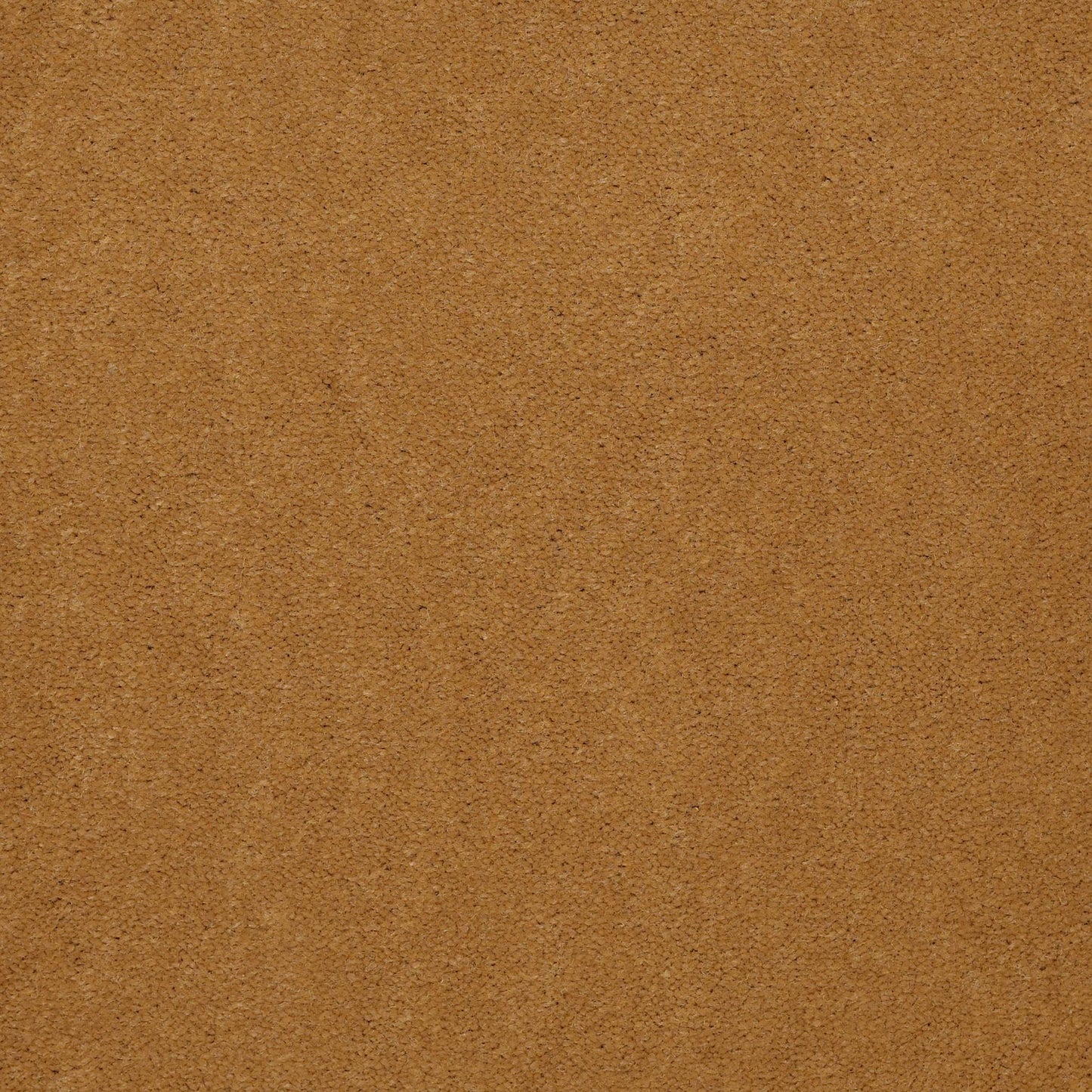 CUT PILE SOLID