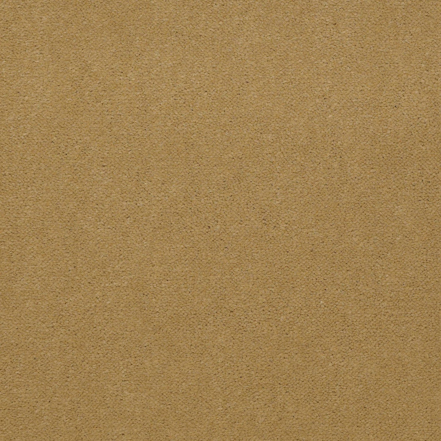 CUT PILE SOLID