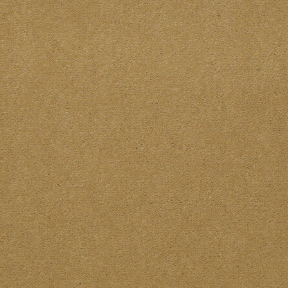 CUT PILE SOLID