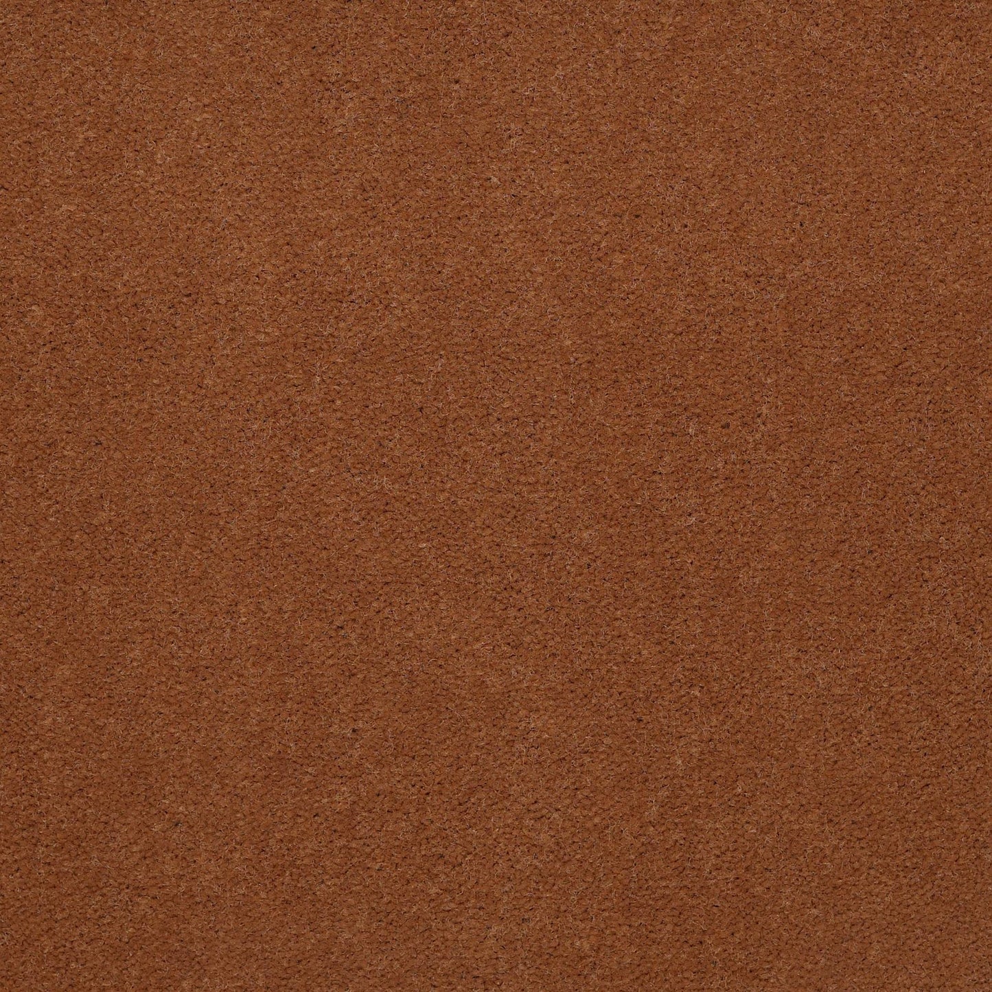 CUT PILE SOLID