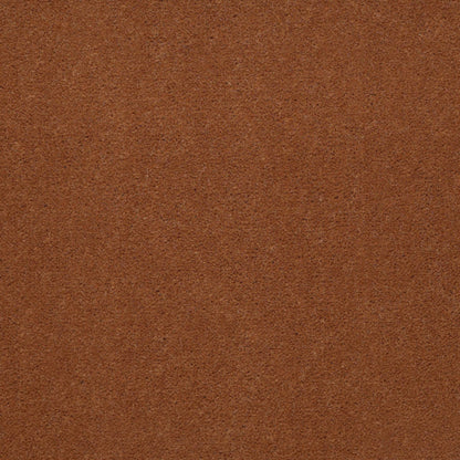 CUT PILE SOLID