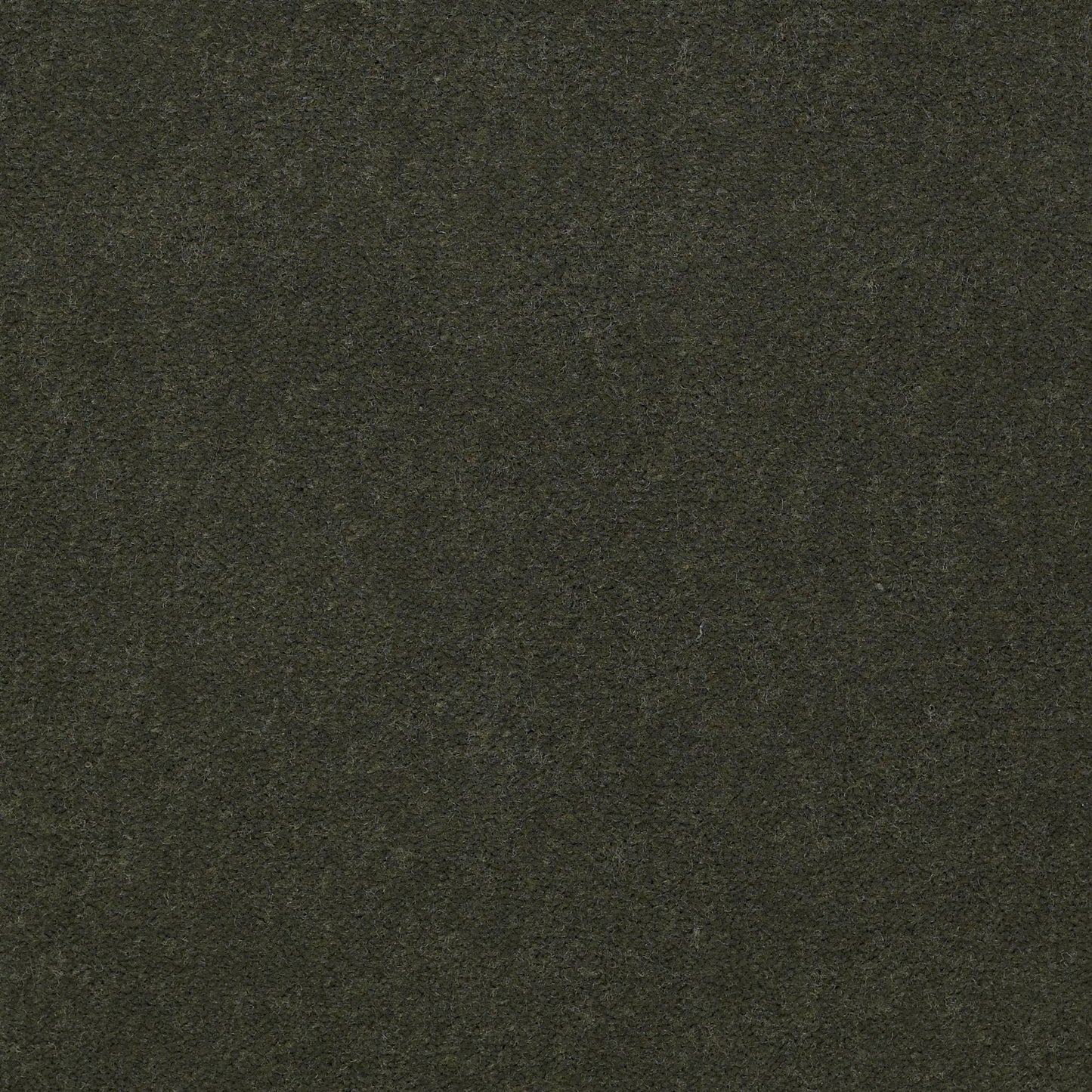CUT PILE SOLID