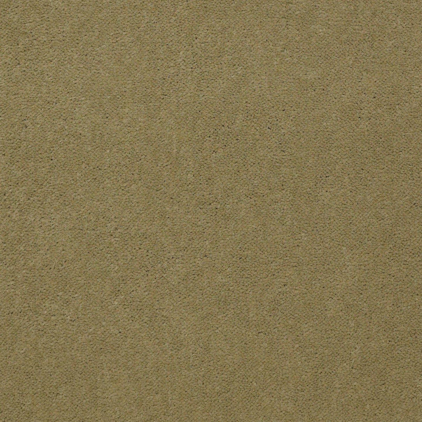 CUT PILE SOLID