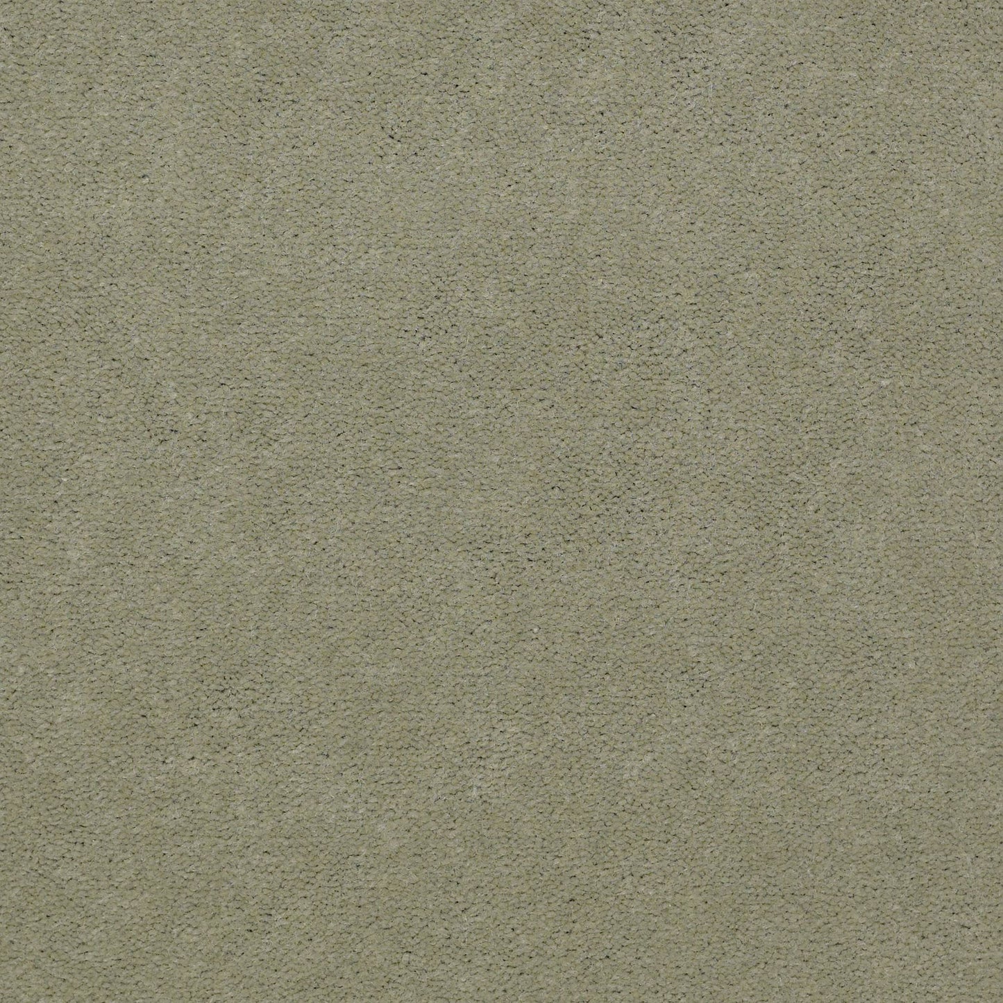 CUT PILE SOLID