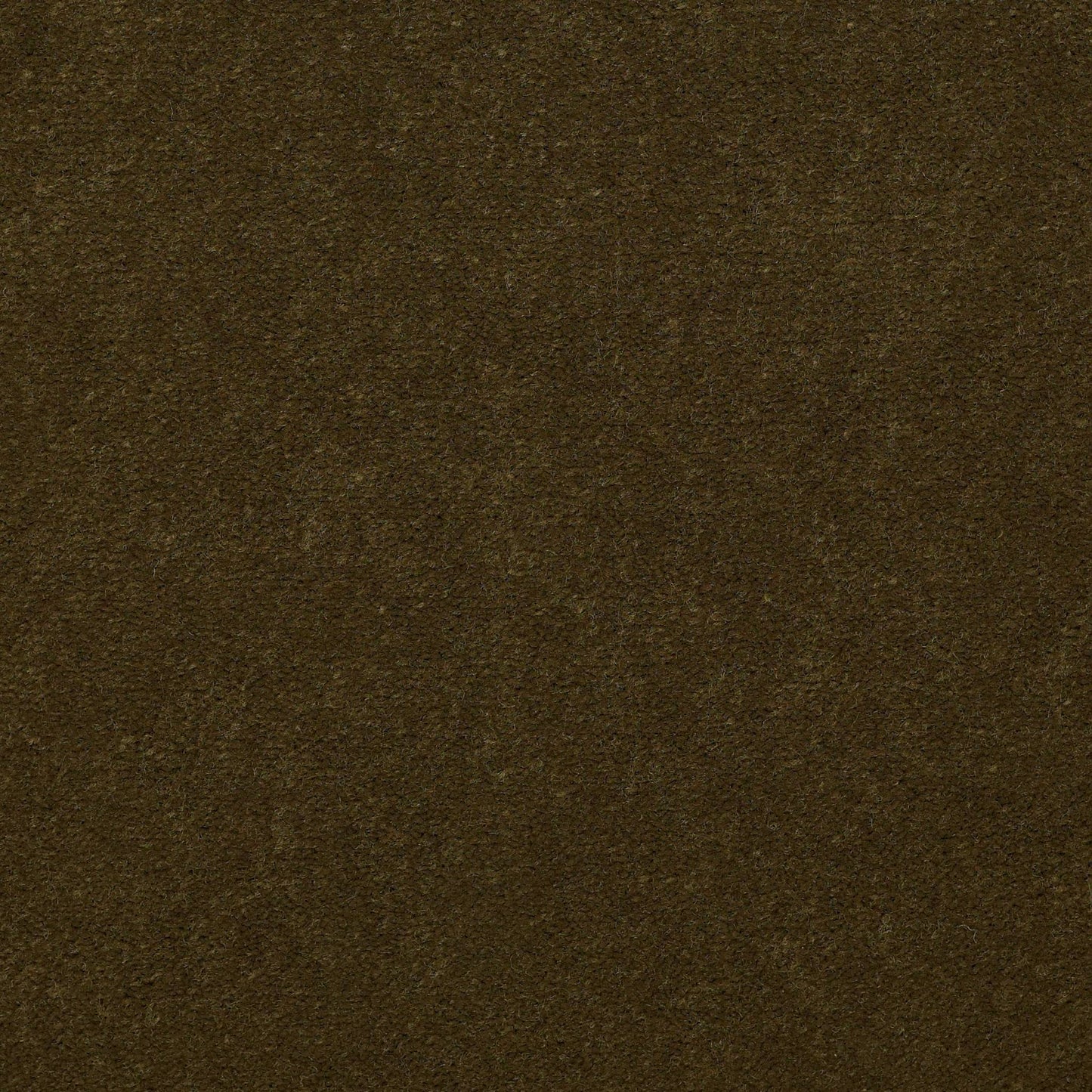 CUT PILE SOLID