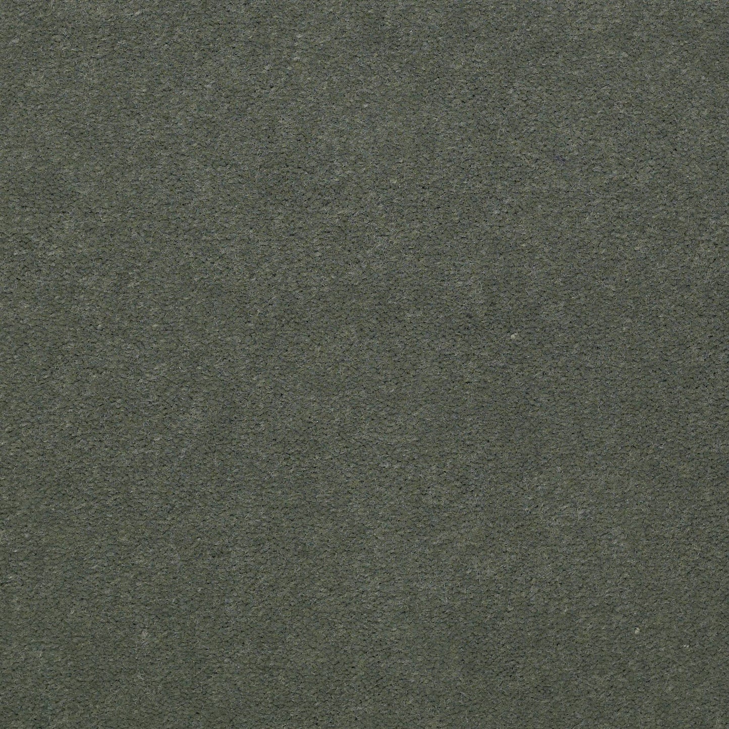CUT PILE SOLID