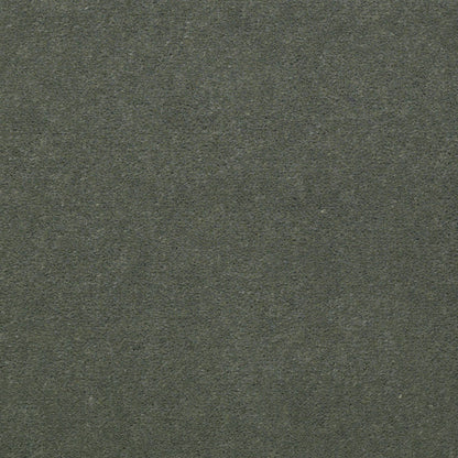 CUT PILE SOLID