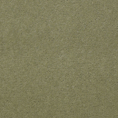 CUT PILE SOLID