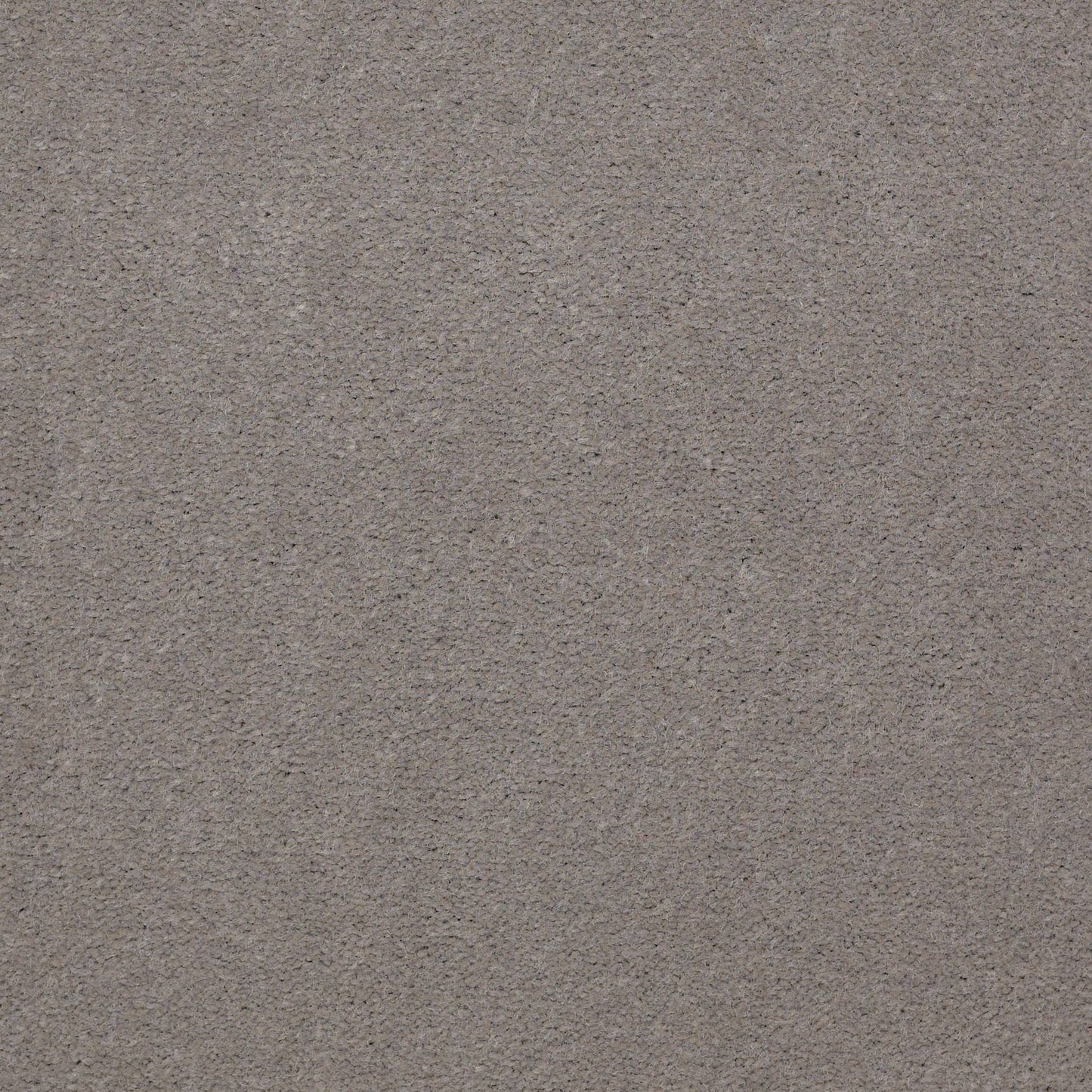 CUT PILE SOLID