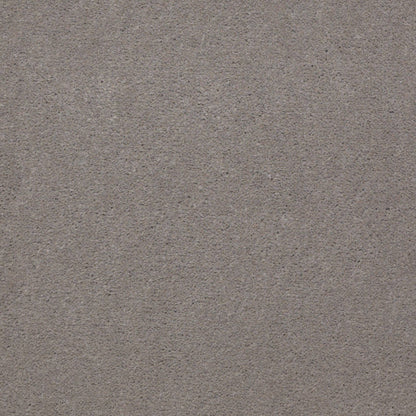 CUT PILE SOLID