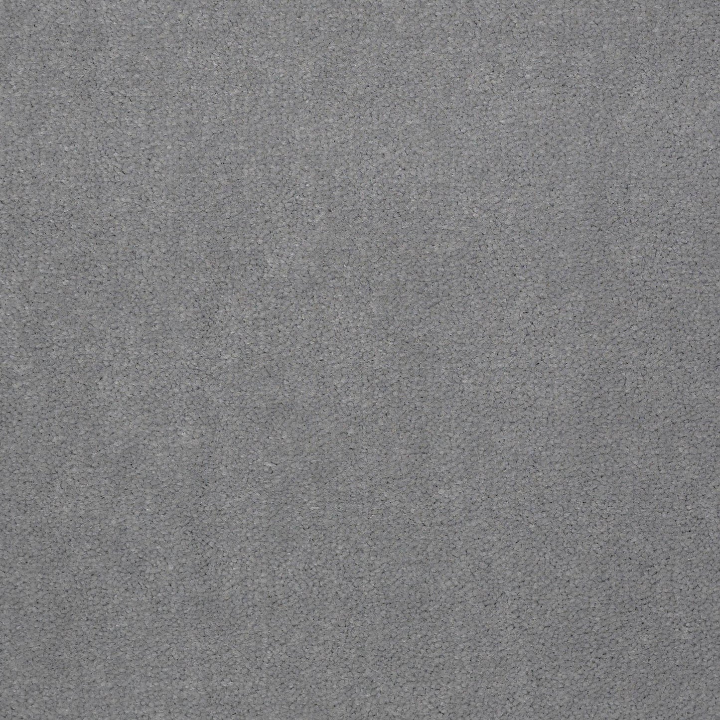 CUT PILE SOLID