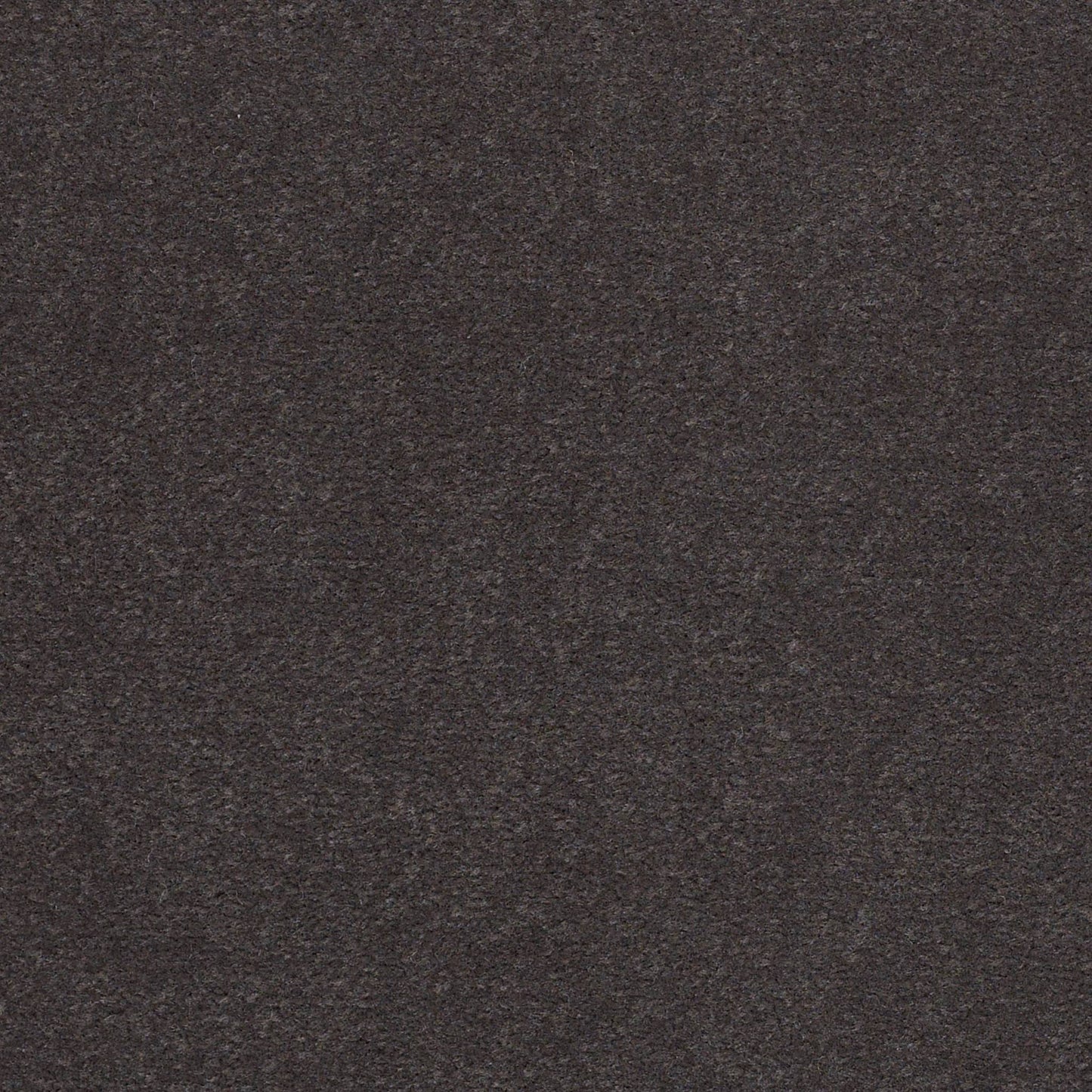 CUT PILE SOLID