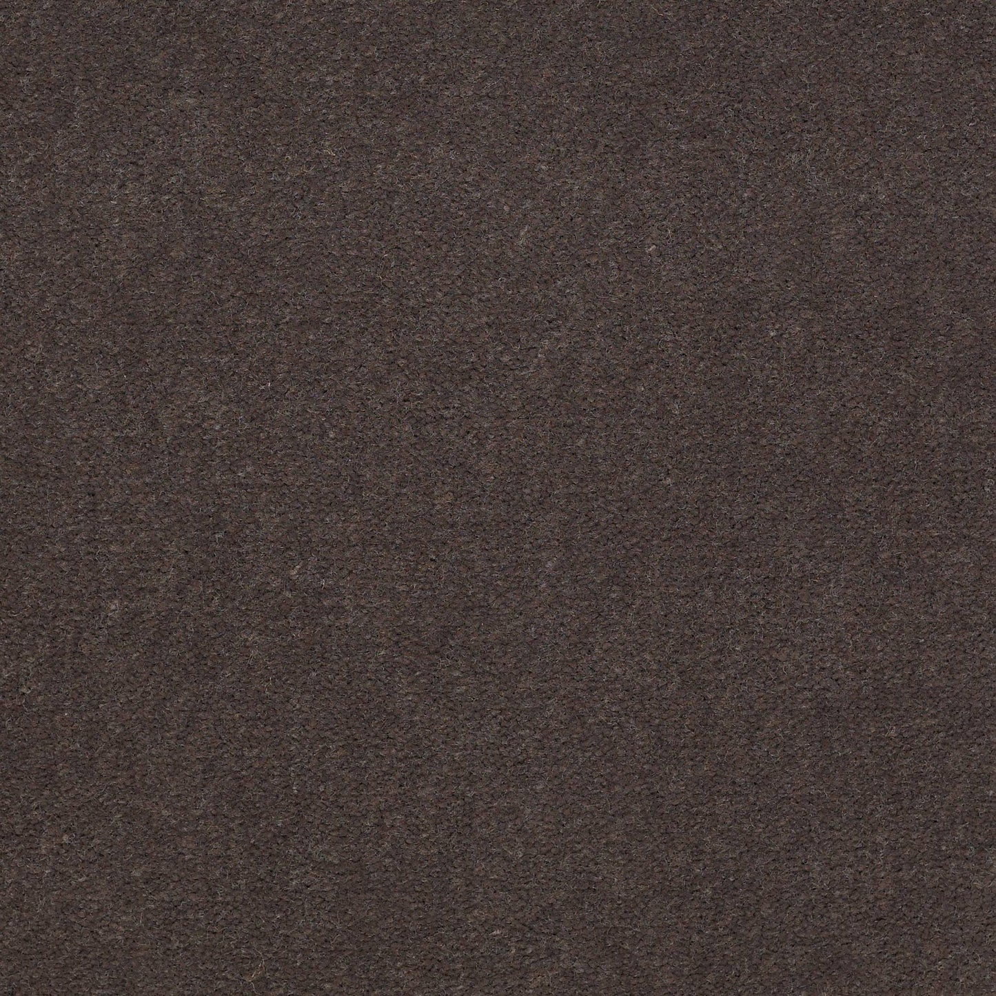 CUT PILE SOLID