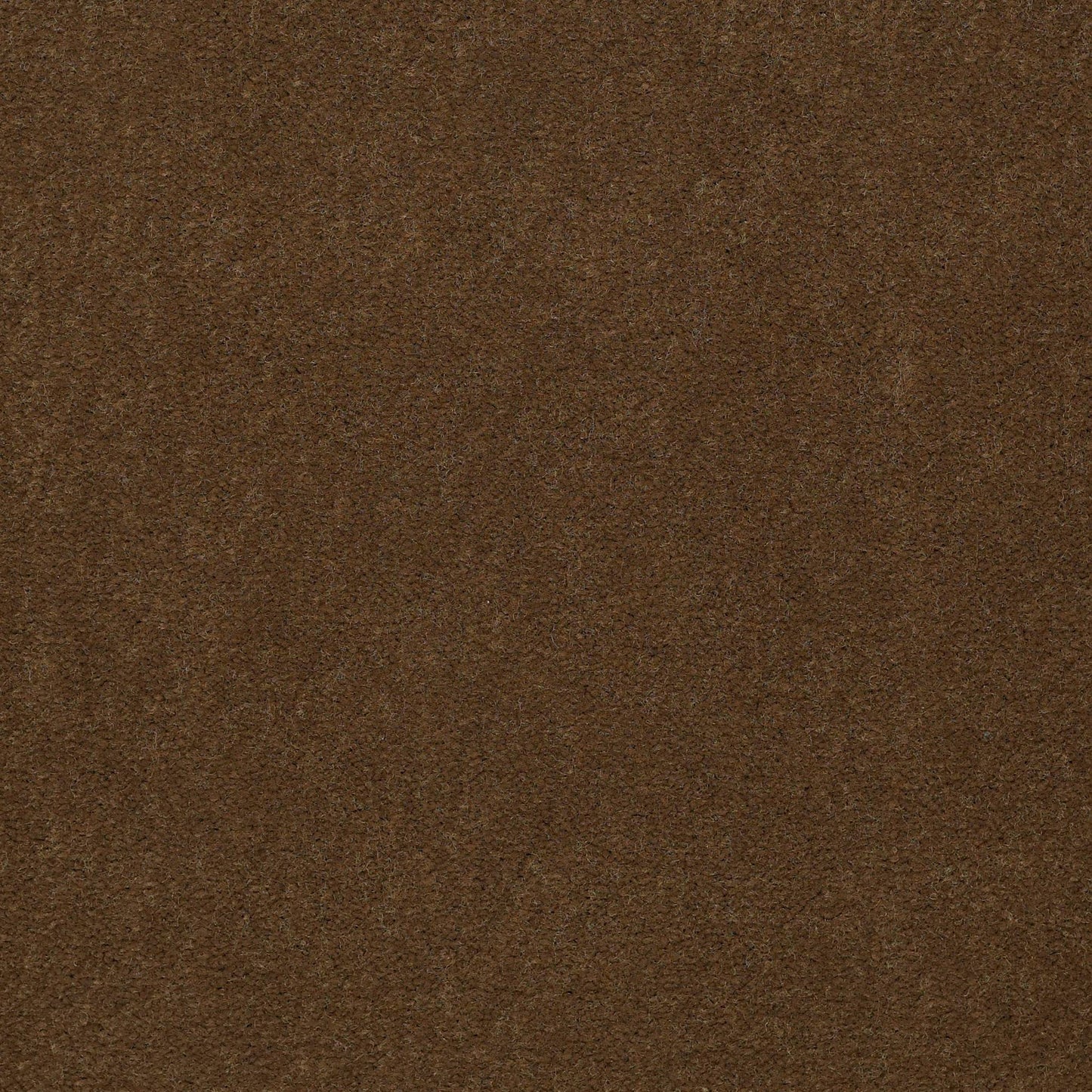 CUT PILE SOLID